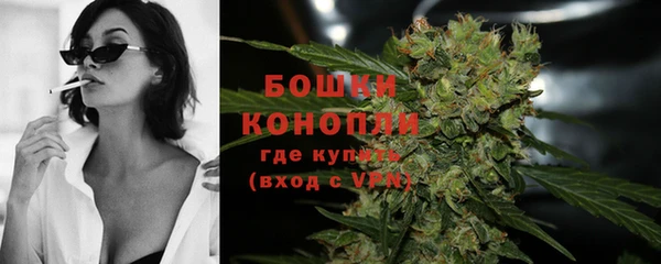 прущие грибы Карпинск