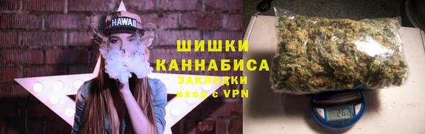 прущие грибы Карпинск