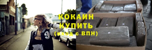 прущие грибы Карпинск