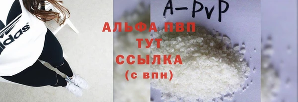 прущие грибы Карпинск