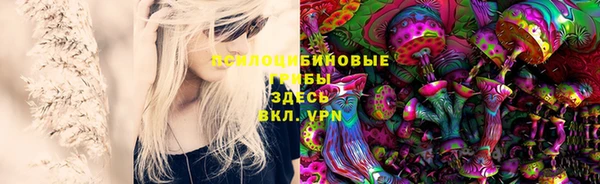 прущие грибы Карпинск