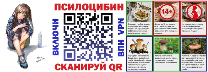 Псилоцибиновые грибы Psilocybine cubensis  мега ССЫЛКА  Хасавюрт 
